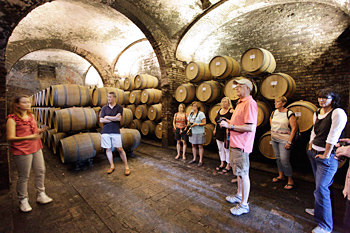 Cellar